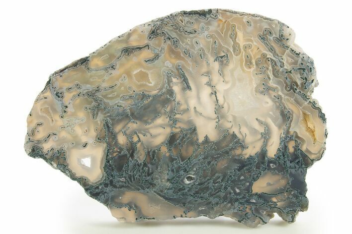 Polished Moss Agate Slab - Oregon #333031